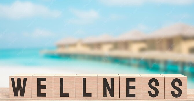 Wellness Optimization Programs